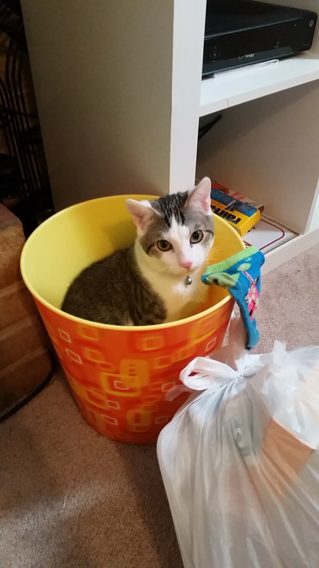 kaiyun 开云体育-_全球网球联赛的增长轨迹与未来趋势_，2021网球比赛结果