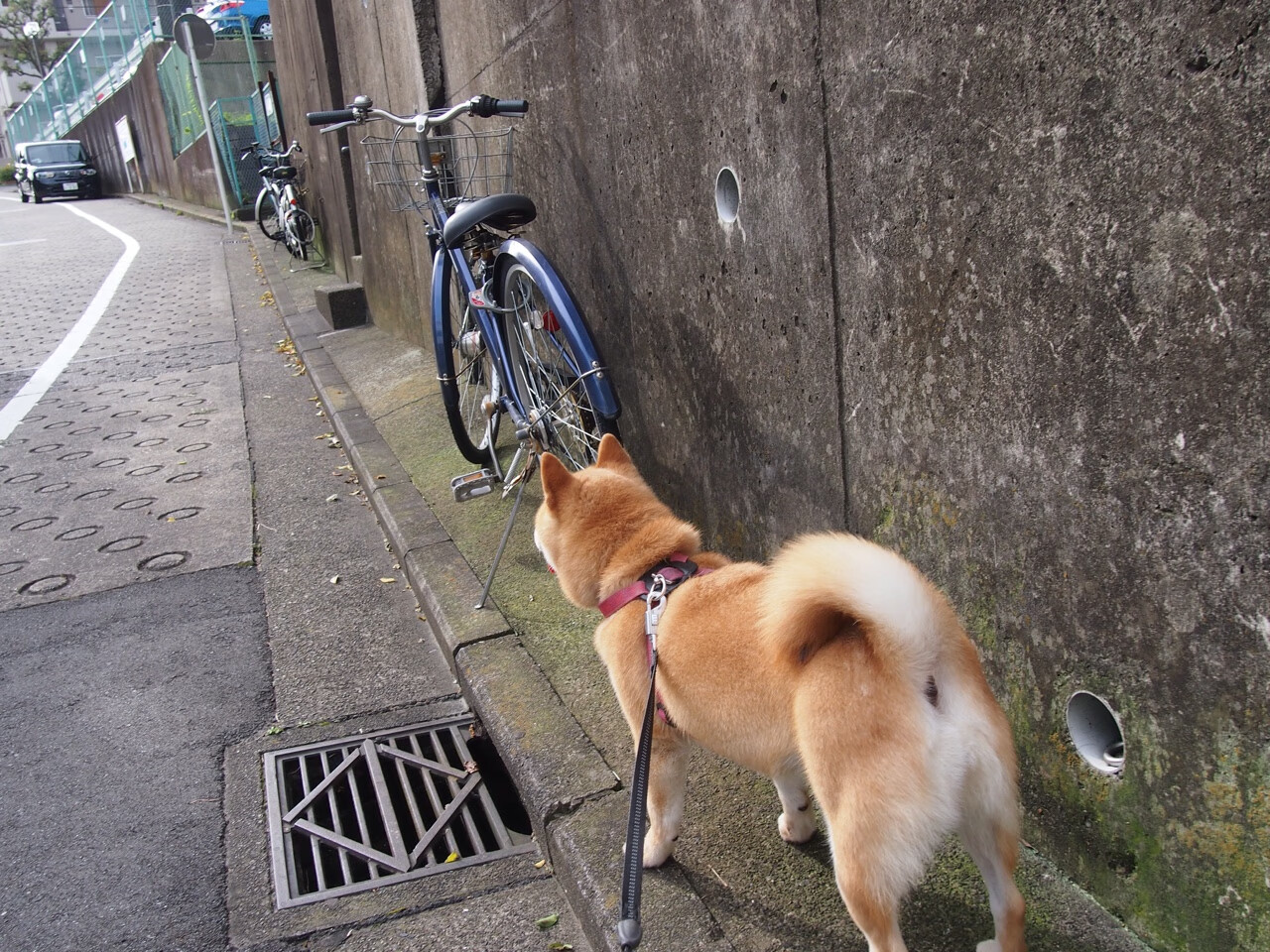 开云网页版-_极地冰川徒步：挑战极端天气条件_，极地冰川保湿套装