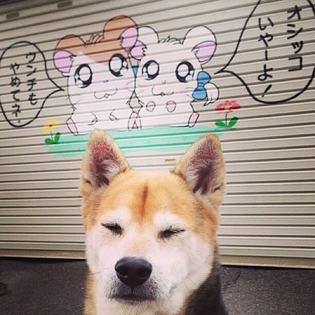 开云体育网页版入口-_骑士年轻核心持续火力，未来充满希望_，骑士ehlo