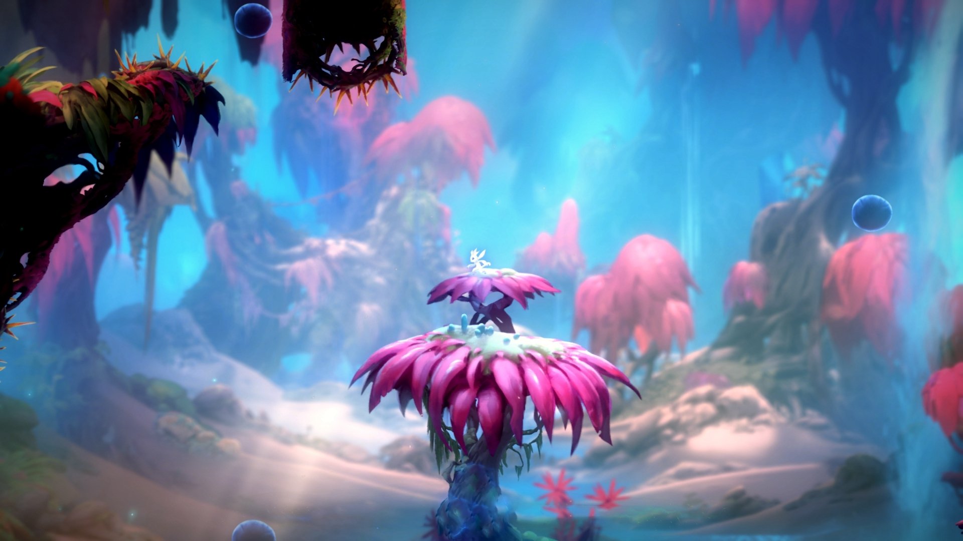 开云官方-“瞬间超越：超车瞬间点燃全场热血”，瞬间超速是什么意思