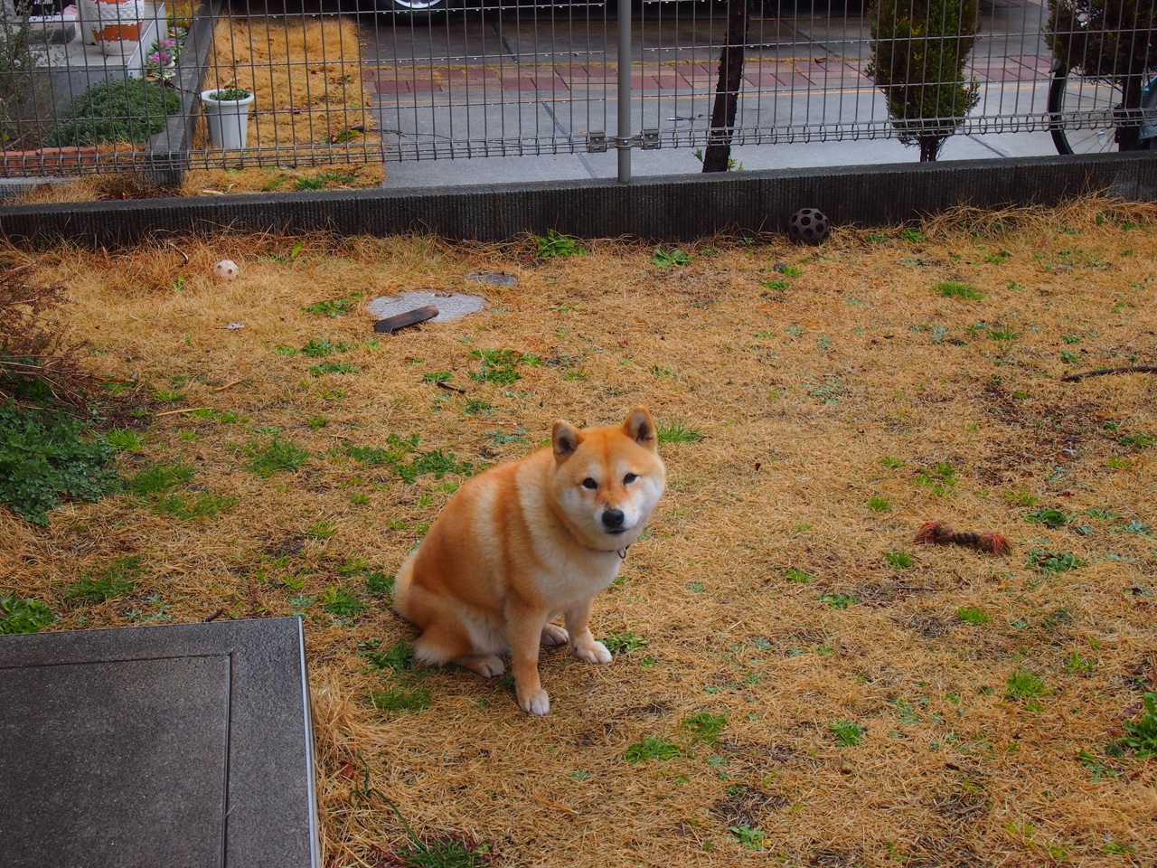 开云在线直播-《【科技运用】5G、云技术推动电竞直播迈向新高峰》，5g直播的优势