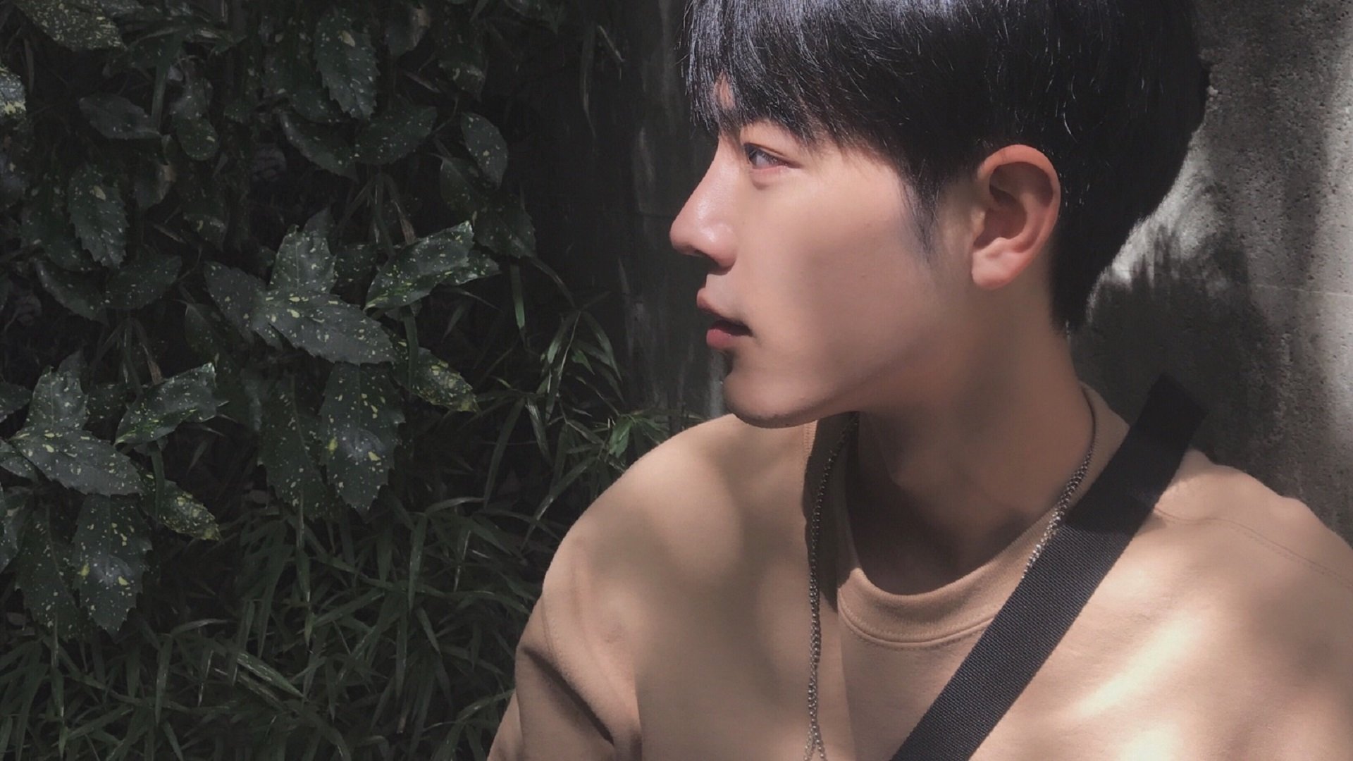 开云网页版登录入口-全国青少年“篮球+科普”创新大讲堂在南京精彩开启，普及体育科学知识