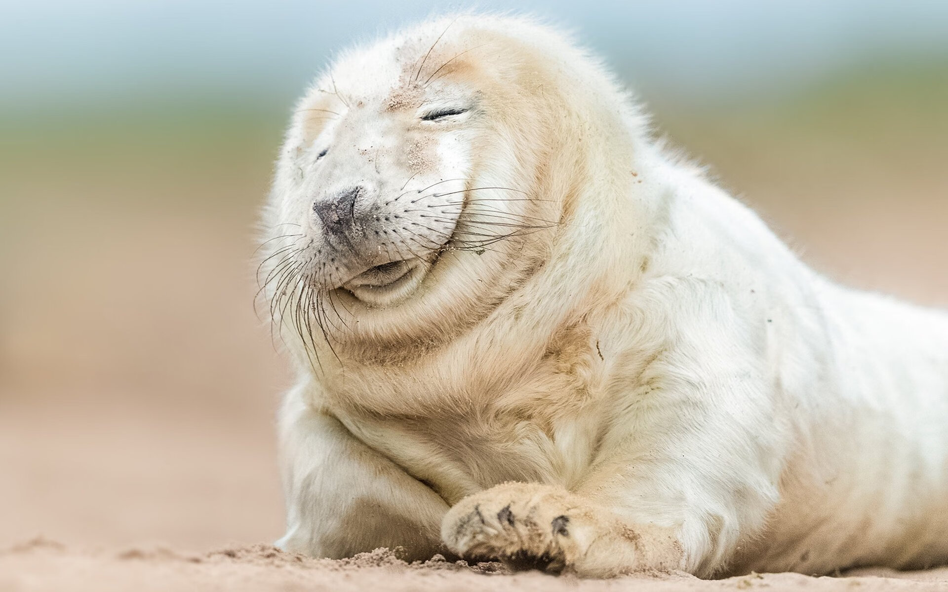 Kaiyun(中国)开云-史上最“燃”关键三分：哪一球让现场沸腾？