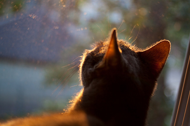 kaiyun 开云体育-日本男足比赛中表现出顽强意志，日本男足比赛中表现出顽强意志的球员