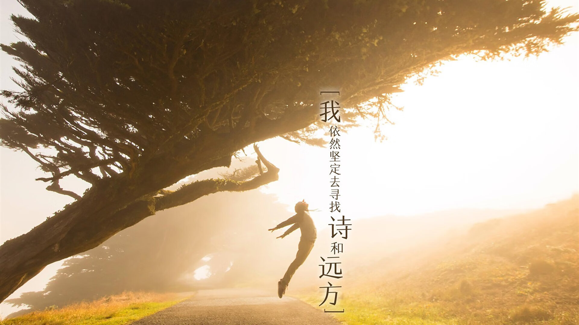 kaiyun登录入口-赛事结语：展望未来台球的发展蓝图，台球未来十年发展