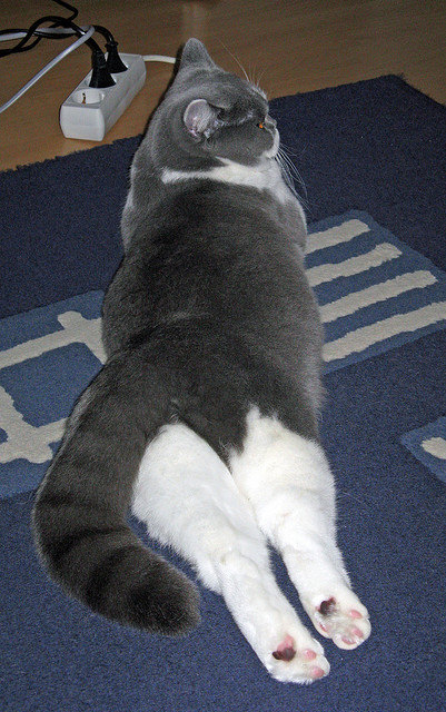 开云网站-斯洛特鼓励年轻球员参与一线队比赛，斯洛特耶斯为何退役