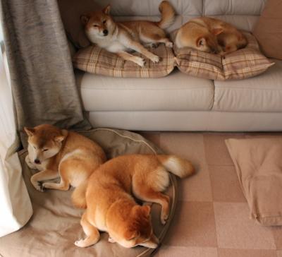 开云官方网站-欧国联赛独具特色，精妙战术令人赞叹，欧国联赛程2020赛制