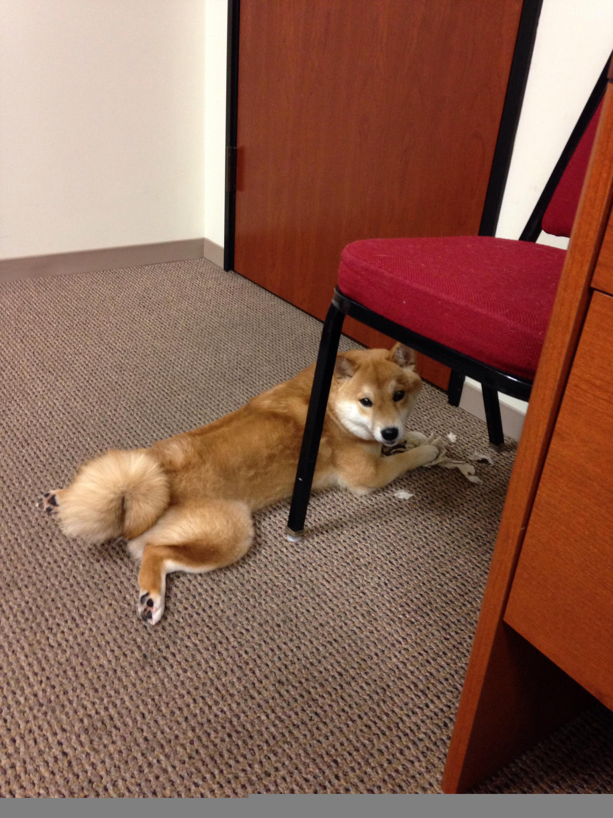 开云全站-球员转会市场是否存在不规范现象，球员转会后工资谁付出