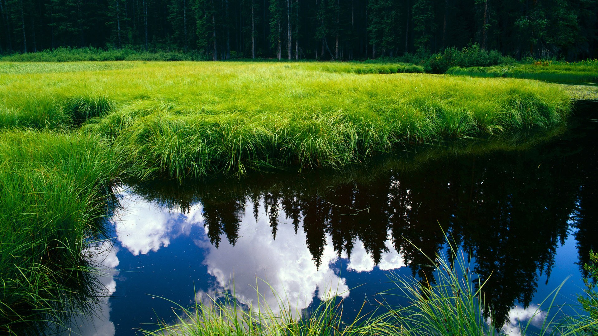 开云体育视频直播-辽宁本钢主帅谈球队未来发展方向，辽宁本钢球队队员