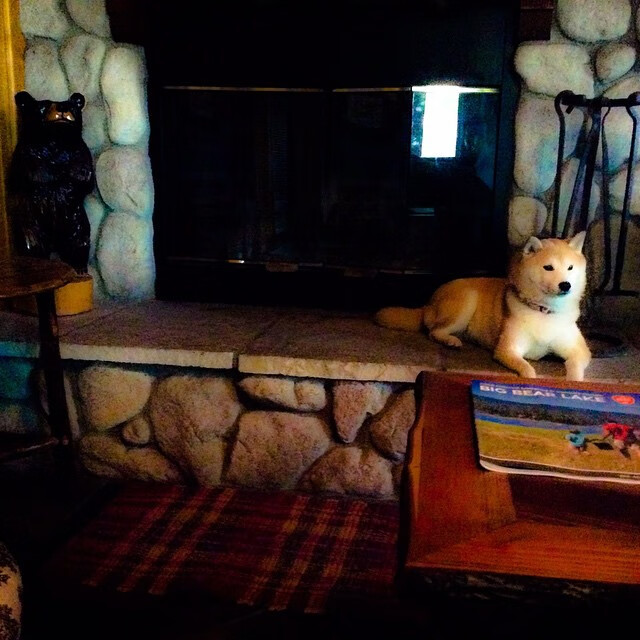 kaiyun-世俱杯交锋：亚洲球队突围欧洲强队的历史瞬间，世俱杯亚洲俱乐部最好成绩