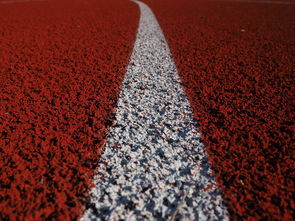 开云在线直播-田径项目专项训练成效显著，田径专项体能训练