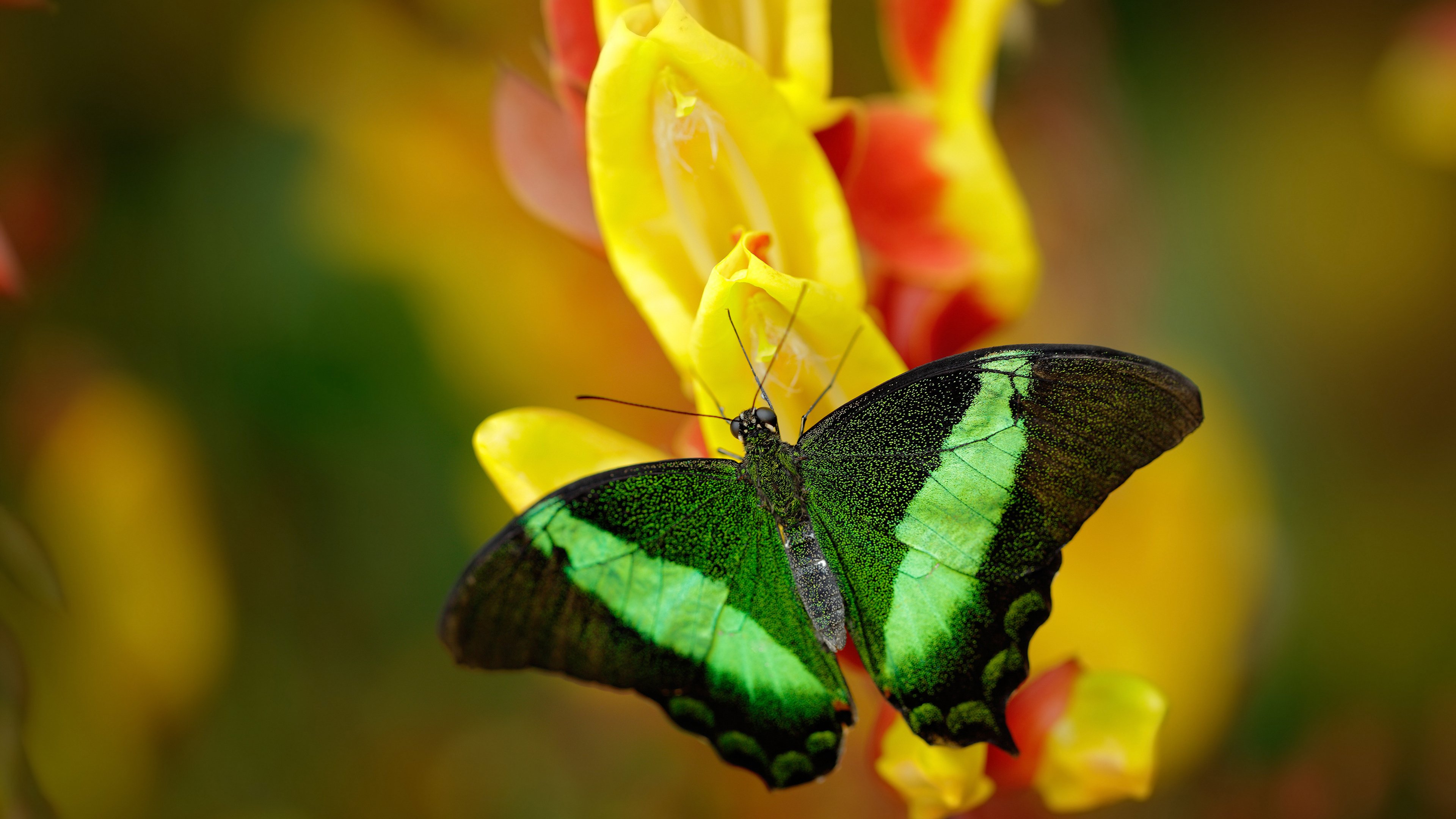 开云网站-中国队配速稳定掌控比赛节奏，配速对照表