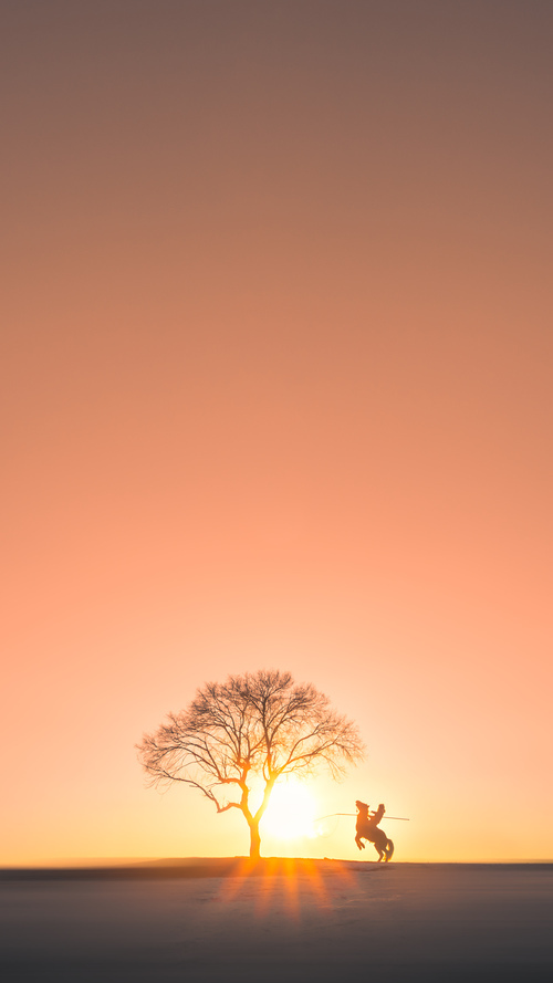 开云官方-塞尔维亚女篮在国际赛场中奋勇拼搏，夺取佳绩