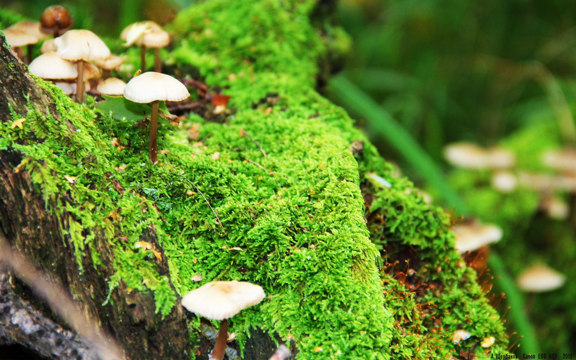 开云-女子篮球设立队内文化官角色增强团队凝聚力，篮球队文化建设