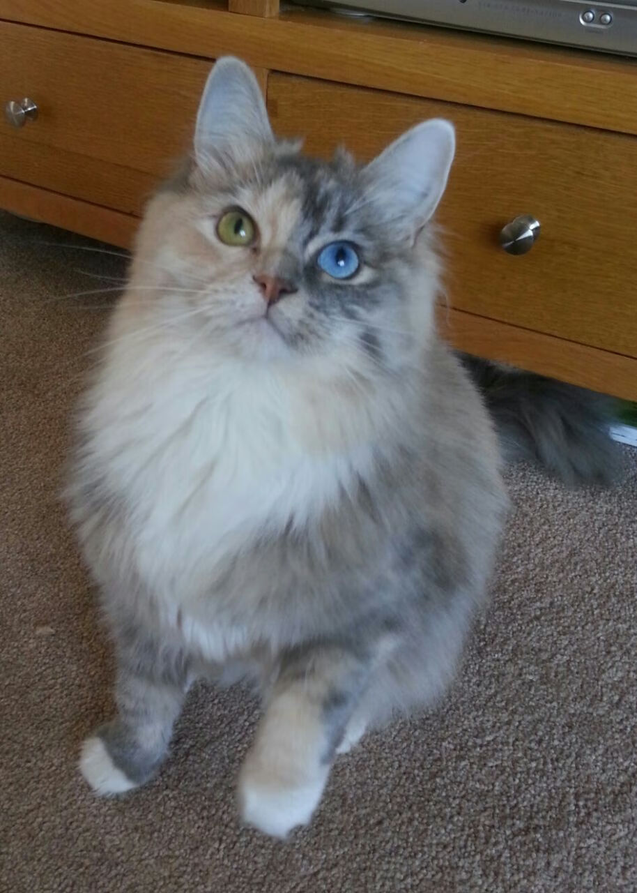 开云体育视频直播-教练组赛后复盘分析对手战术特点为下一场做准备，教练下场比赛